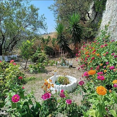 Mavrikou Helen Apartments Skyros Zewnętrze zdjęcie