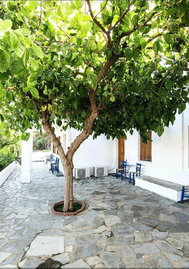 Mavrikou Helen Apartments Skyros Zewnętrze zdjęcie