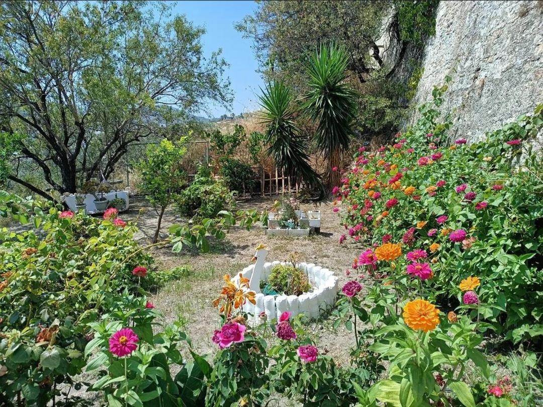 Mavrikou Helen Apartments Skyros Zewnętrze zdjęcie