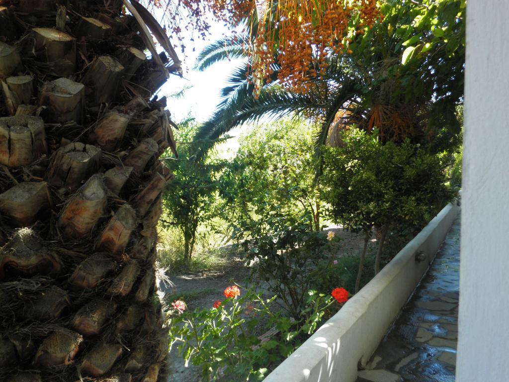 Mavrikou Helen Apartments Skyros Pokój zdjęcie
